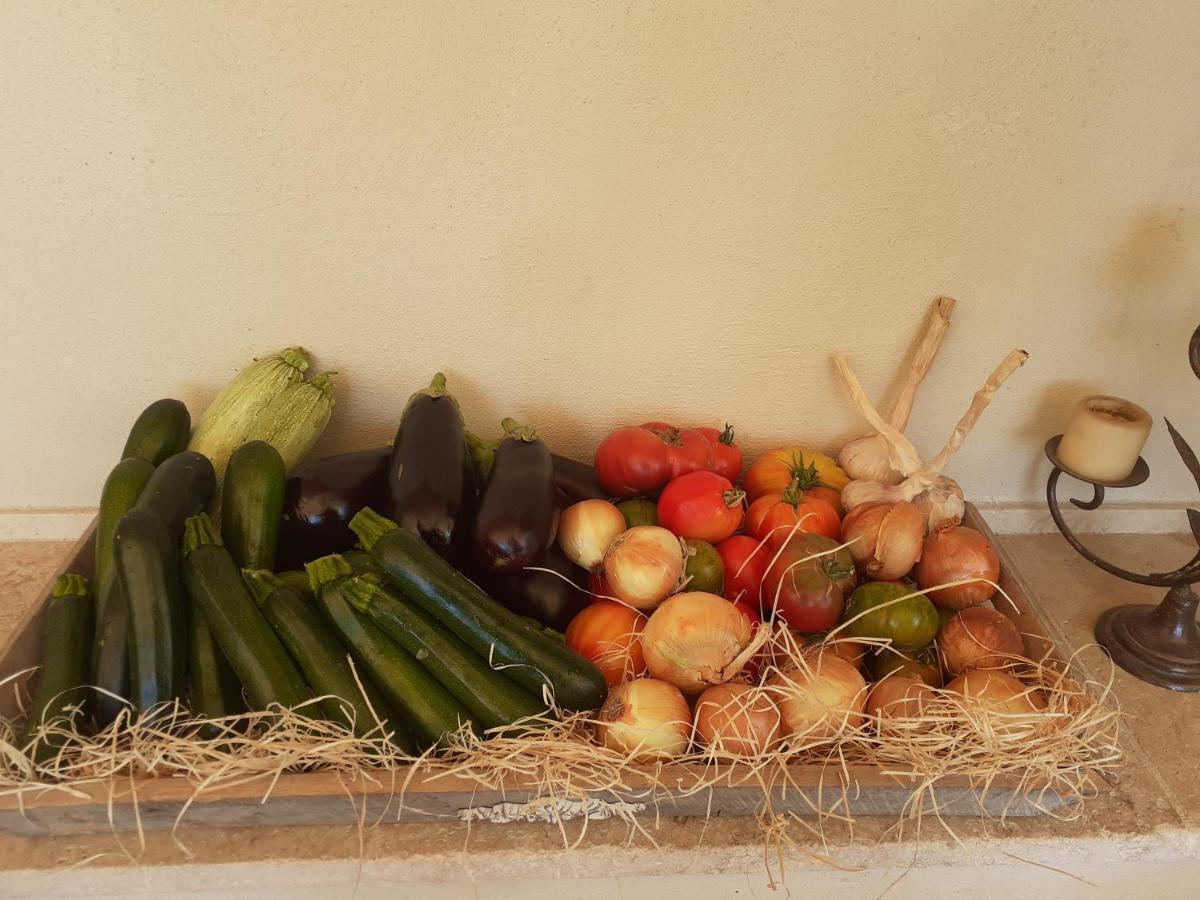 Location Vacances Gillardin Maussane les Alpilles Luaran gambar